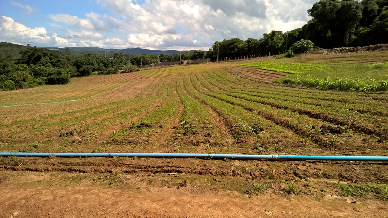 Terreno à venda, 4650m² - Foto 1