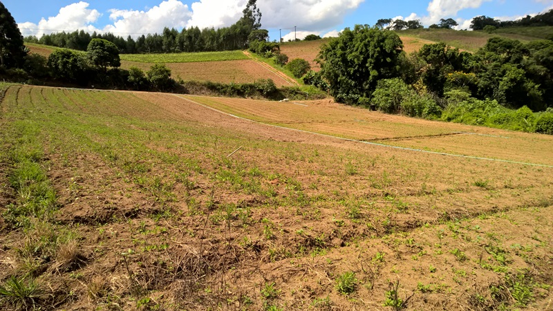 Terreno à venda, 4650m² - Foto 9