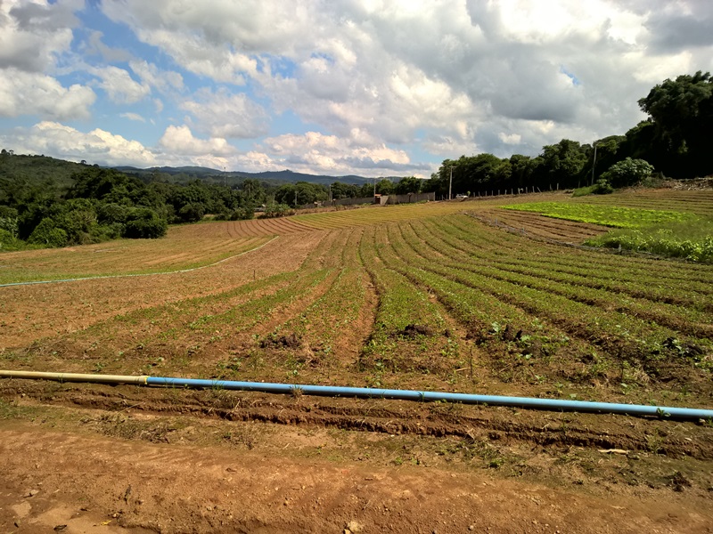 Terreno à venda, 4650m² - Foto 6