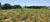 Terreno, 1000 m² - Foto 2