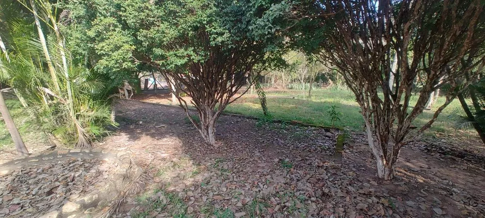 Chácara, 4 quartos, 6670 m² - Foto 4