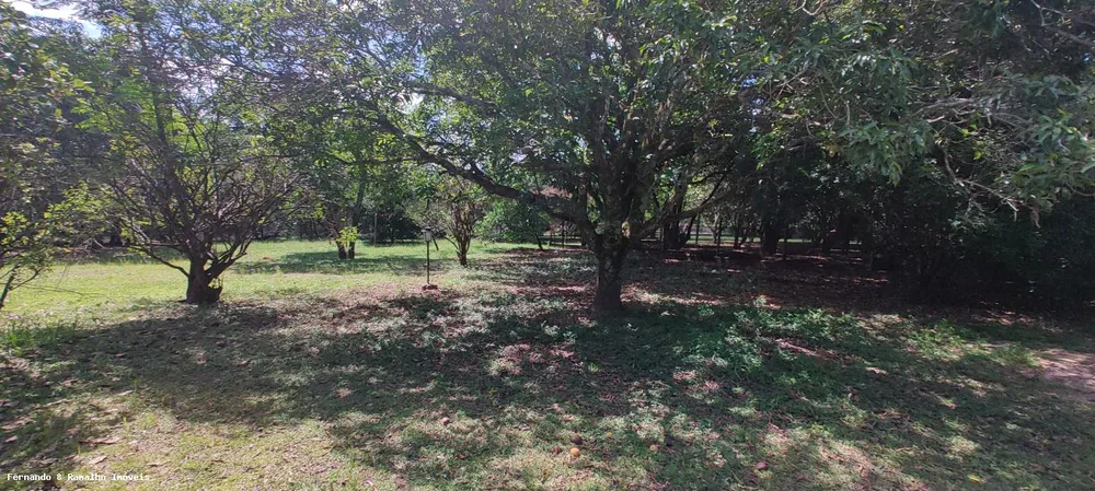 Chácara, 5 quartos, 5000 m² - Foto 13