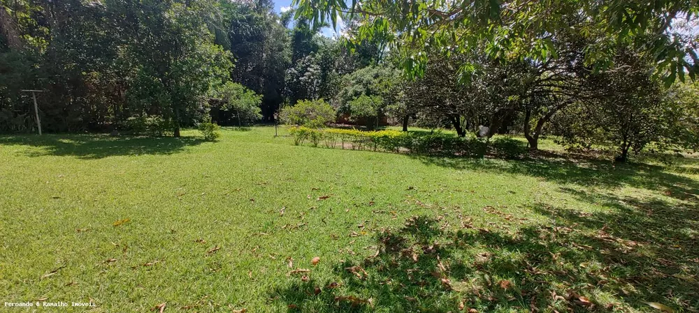 Chácara, 5 quartos, 5000 m² - Foto 6