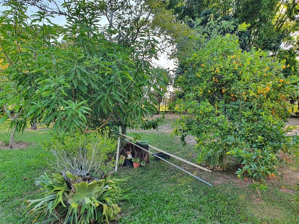 Chácara, 4 quartos, 7000 m² - Foto 44