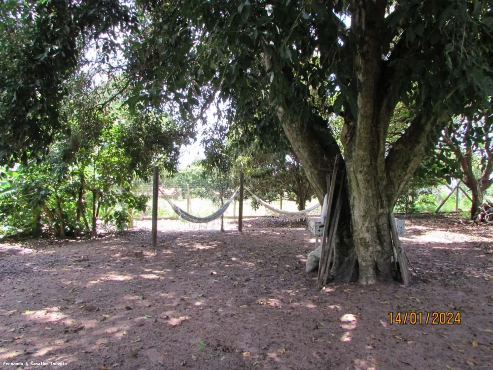 Chácara, 6 quartos, 6000 m² - Foto 12