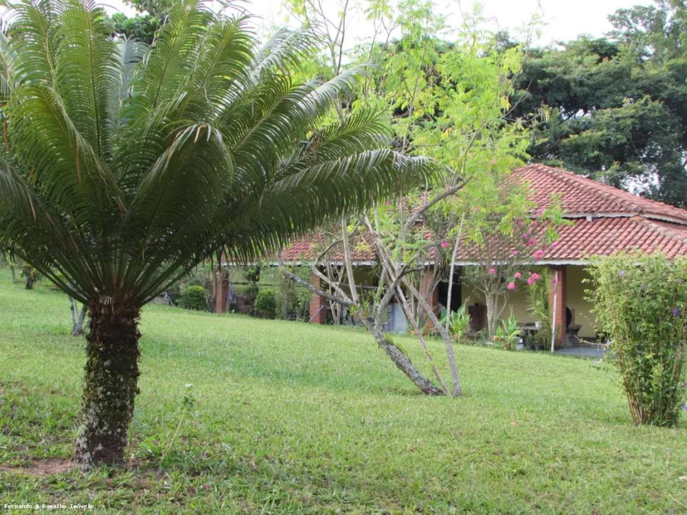 Chácara, 6 quartos, 6000 m² - Foto 10