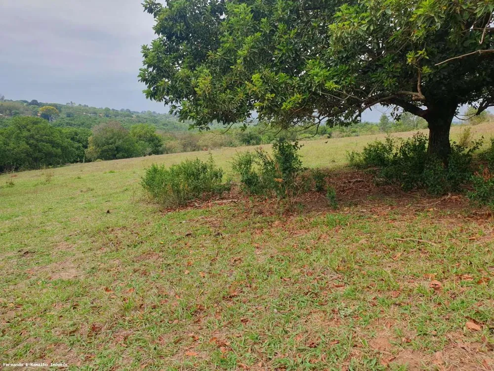 Sítio, 3 quartos, 8 hectares - Foto 11
