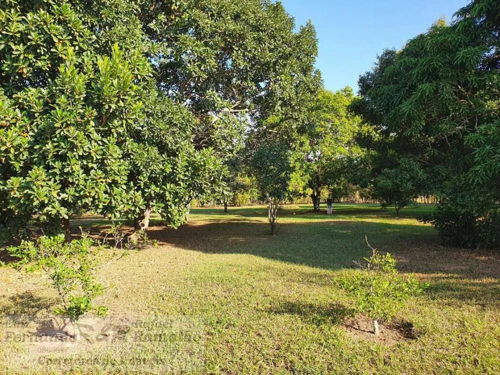 Chácara, 4 quartos, 5600 m² - Foto 14