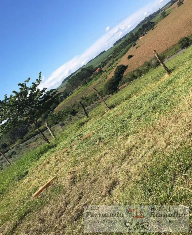 Sítio, 2 quartos, 2 hectares - Foto 13
