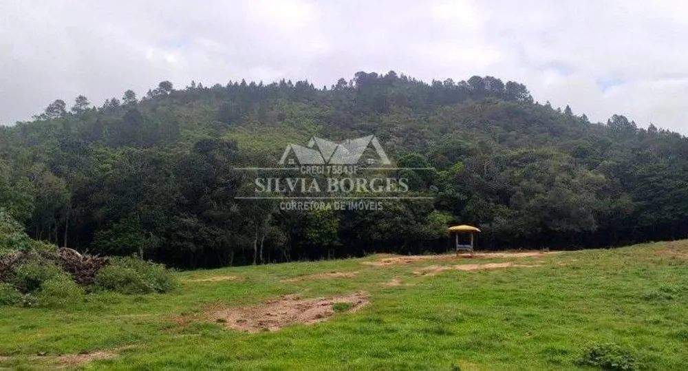 Terreno, 10 hectares - Foto 7
