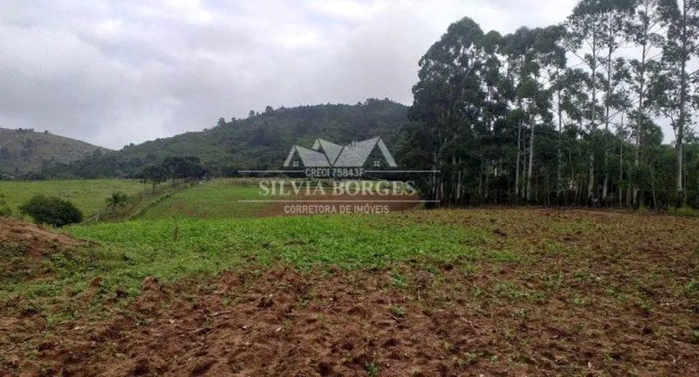 Terreno, 10 hectares - Foto 8