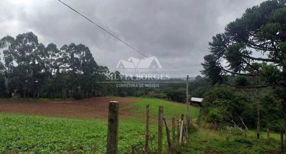 Terreno, 10 hectares - Foto 6