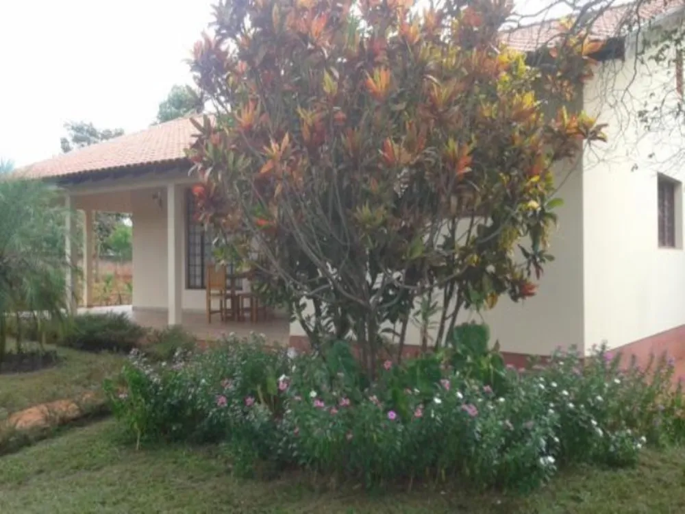 Chácara, 3 quartos, 6562 m² - Foto 2