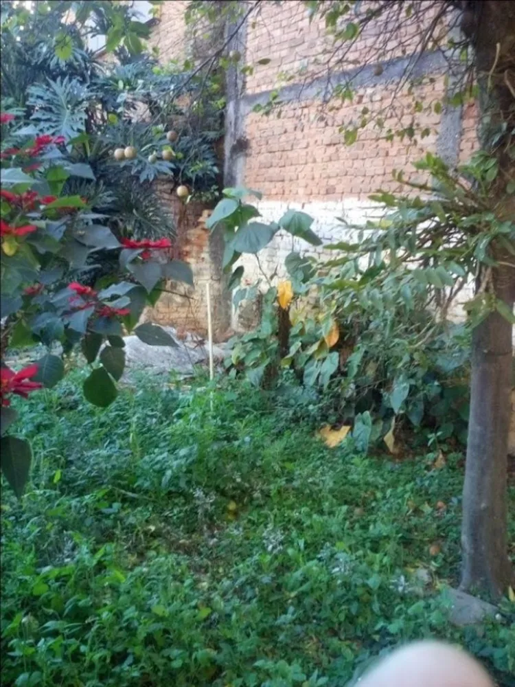 Casa, 2 quartos - Foto 13