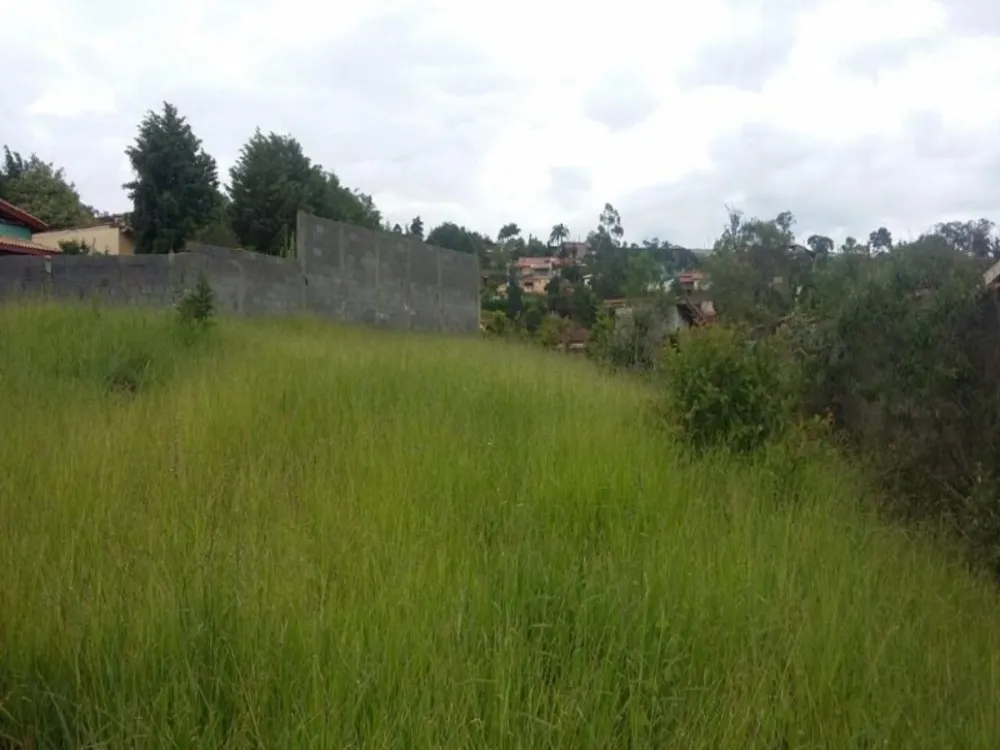 Terreno, 1093 m² - Foto 5