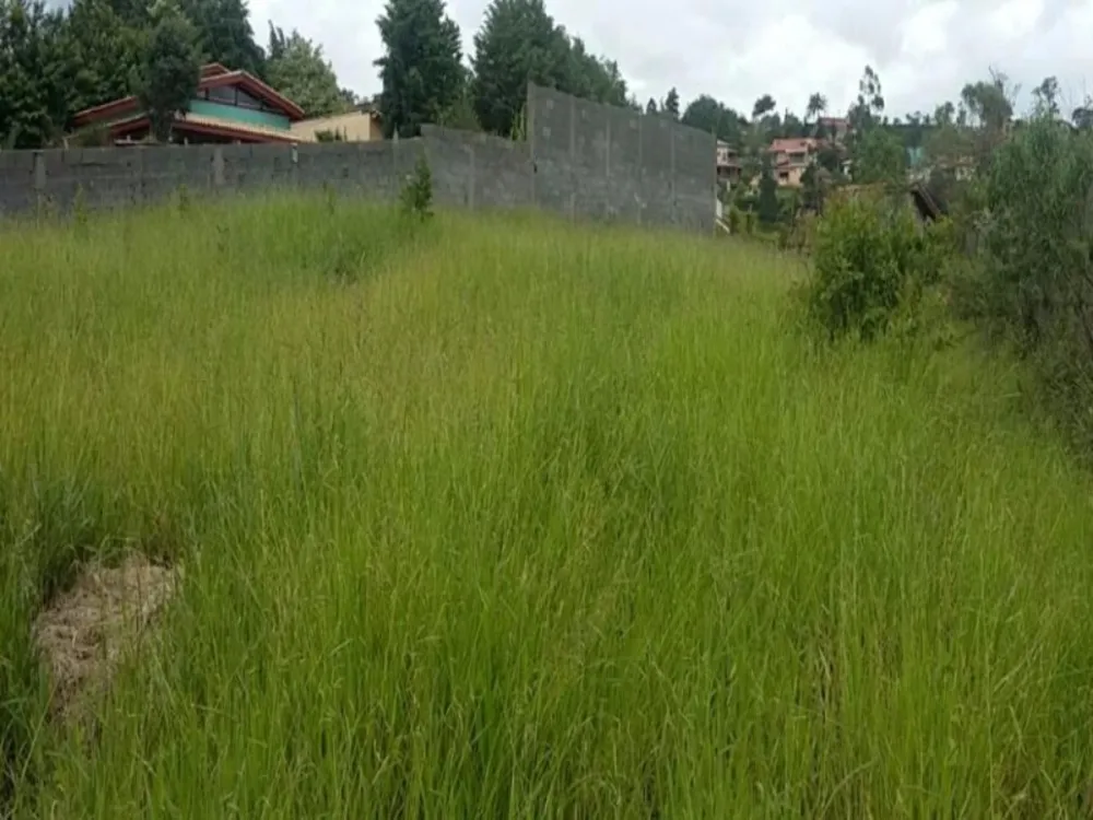 Terreno, 1093 m² - Foto 1