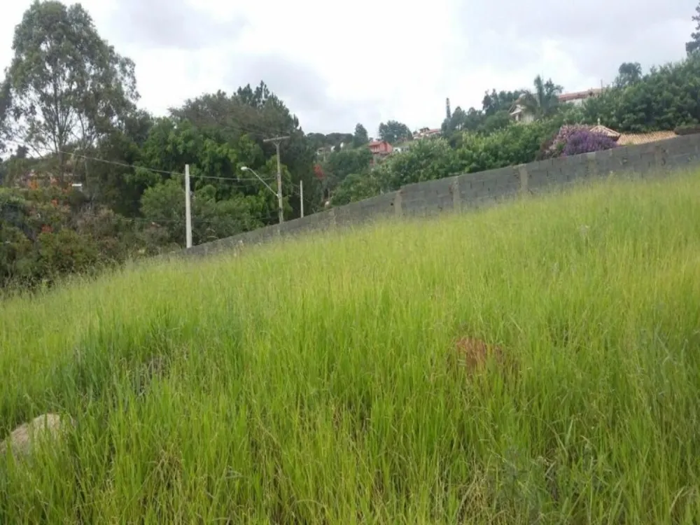 Terreno, 1093 m² - Foto 3