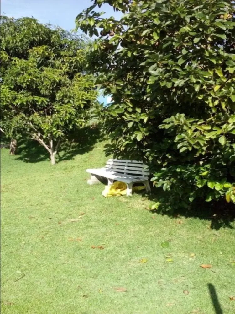 Chácara, 3 quartos, 1000 m² - Foto 13