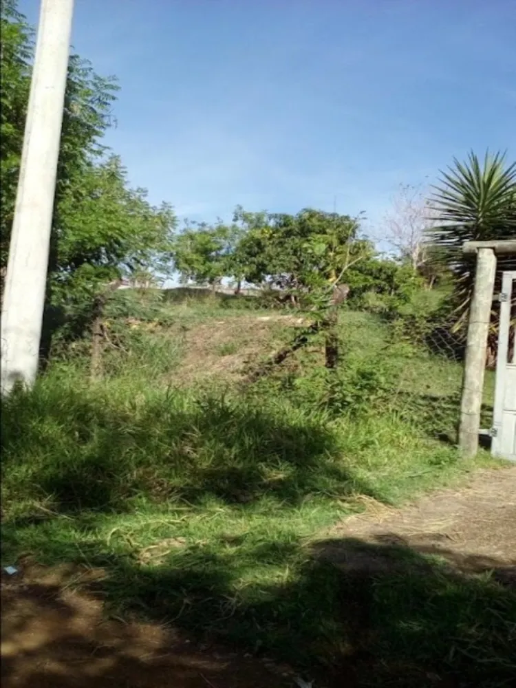 Chácara, 3 quartos, 1000 m² - Foto 15