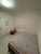 Apartamento, 2 quartos, 35 m² - Foto 4