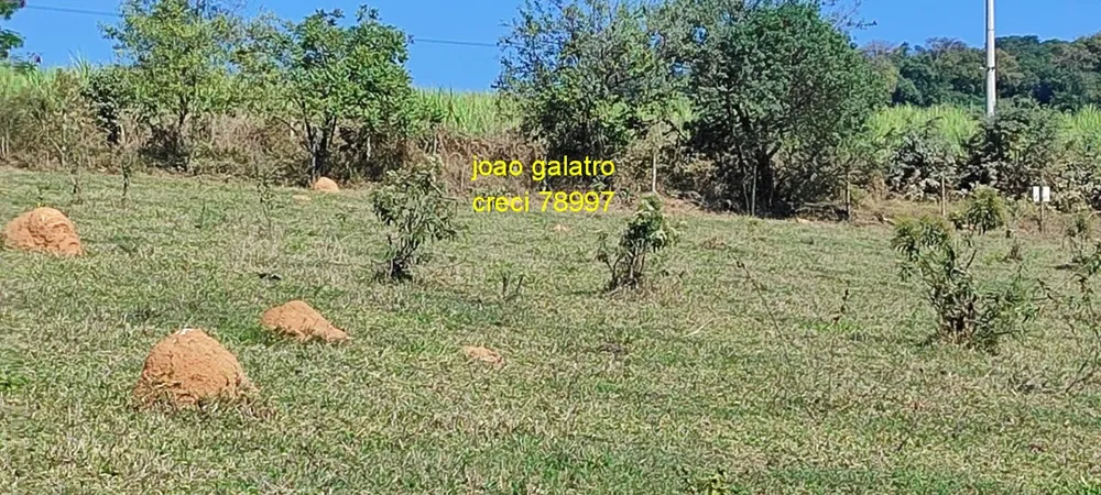 Terreno - Foto 7