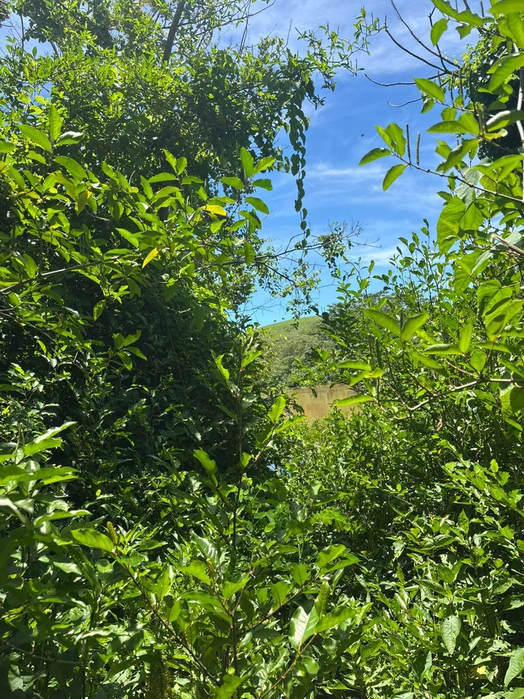 Terreno - Foto 8