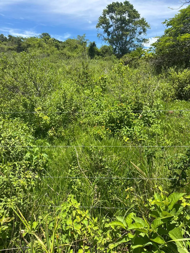 Terreno - Foto 7