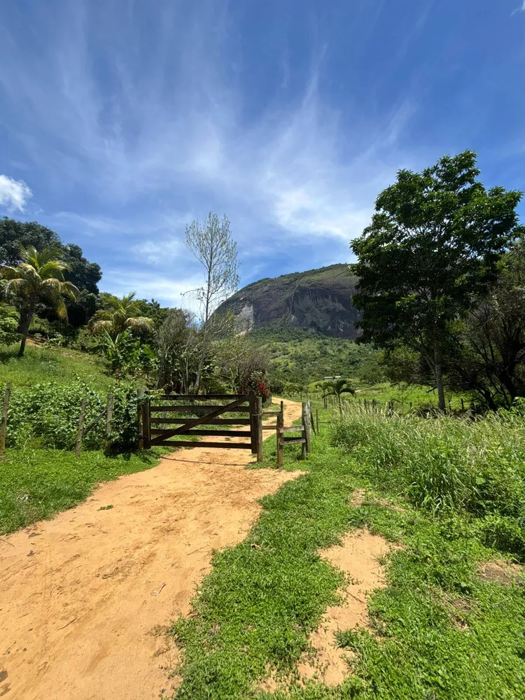 Terreno - Foto 1