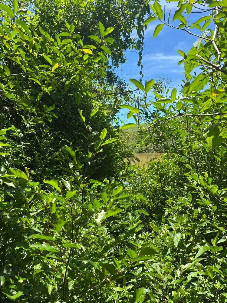 Terreno - Foto 4