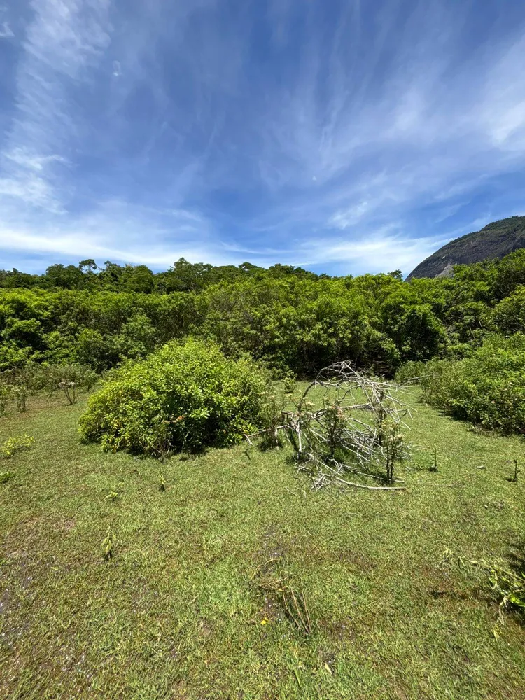 Terreno - Foto 2