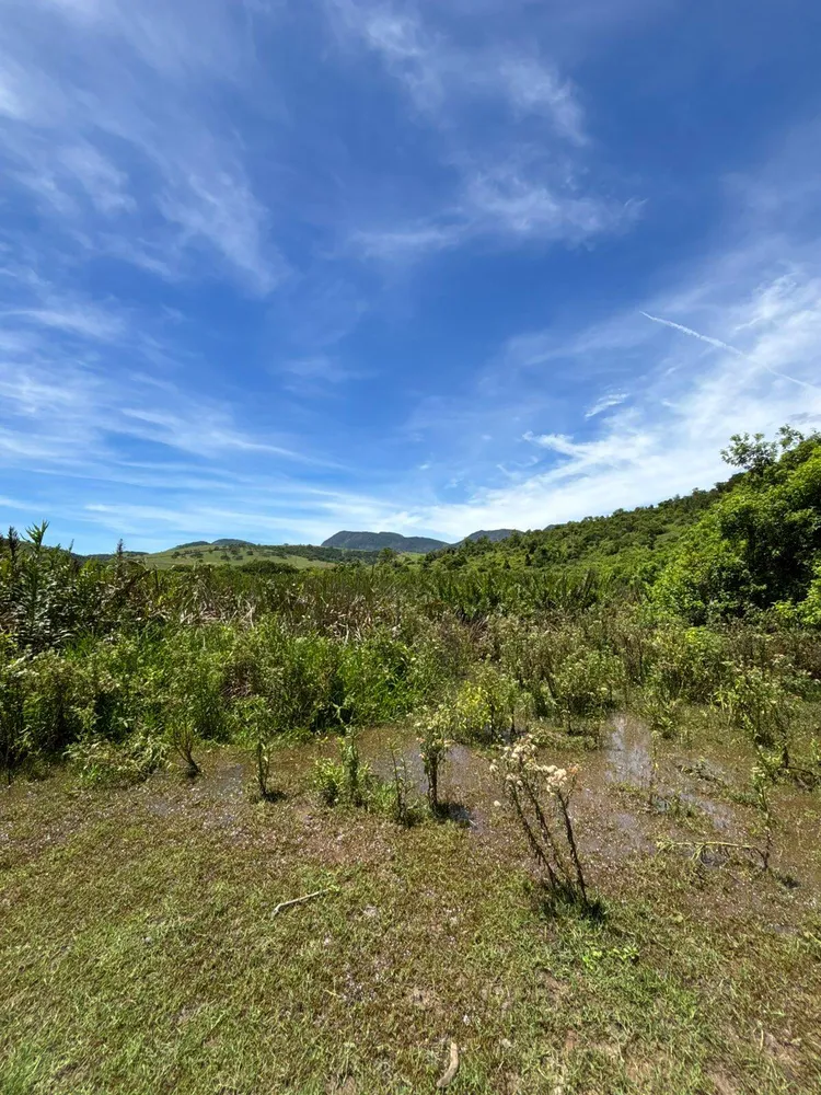 Terreno - Foto 5