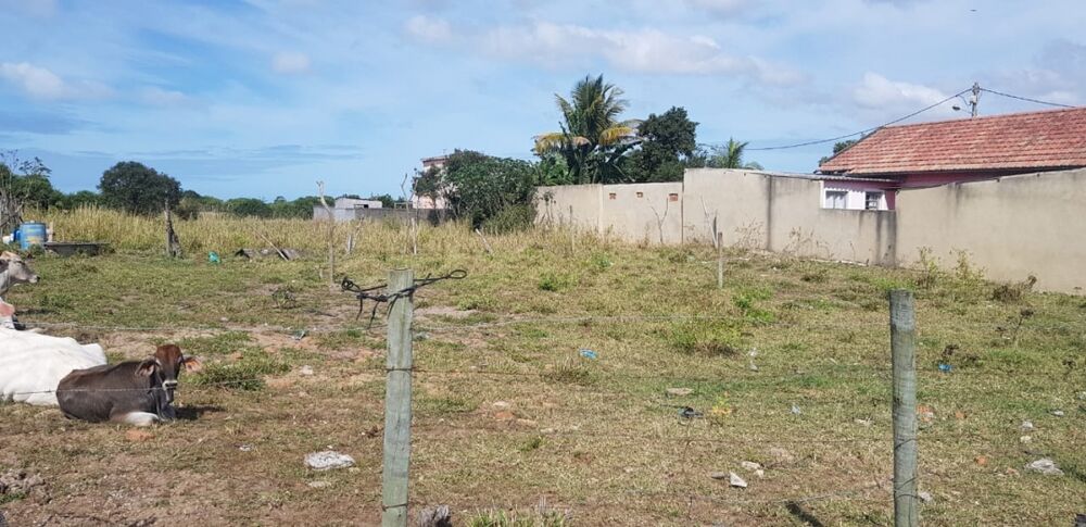 Terreno - Foto 4