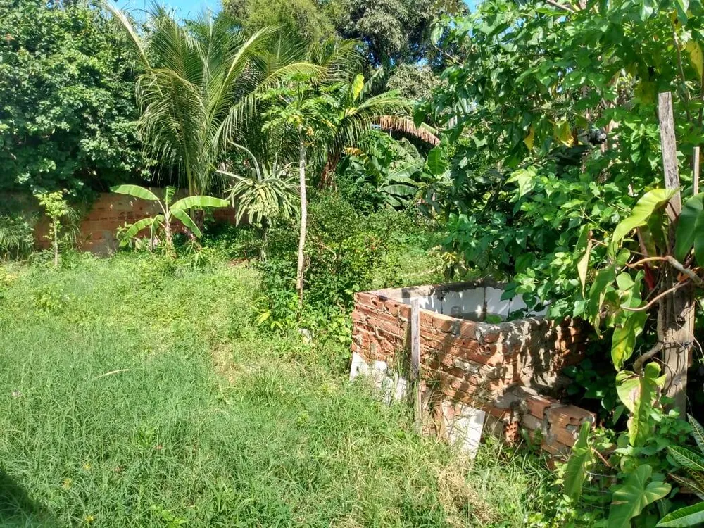 Terreno - Foto 4