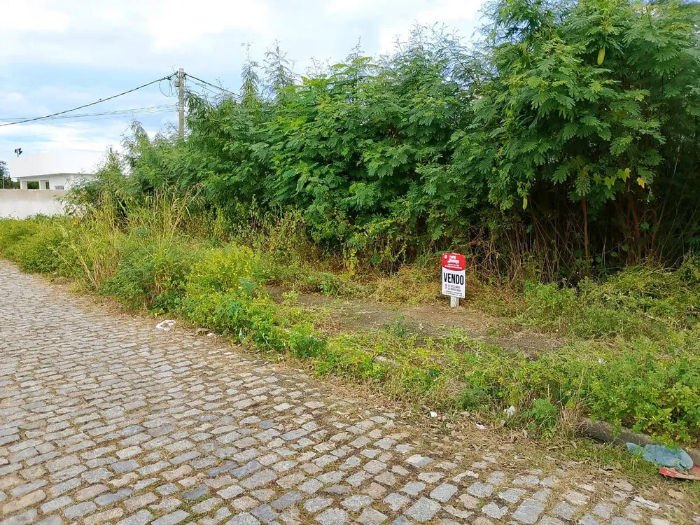 Terreno - Foto 2