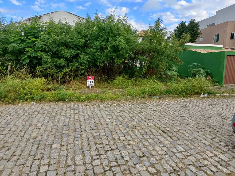 Terreno - Foto 4