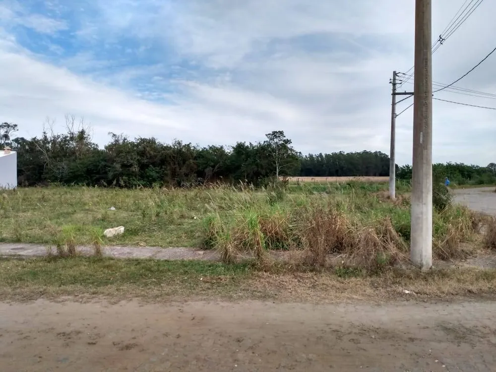 Terreno - Foto 5