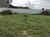 Terreno - Foto 1