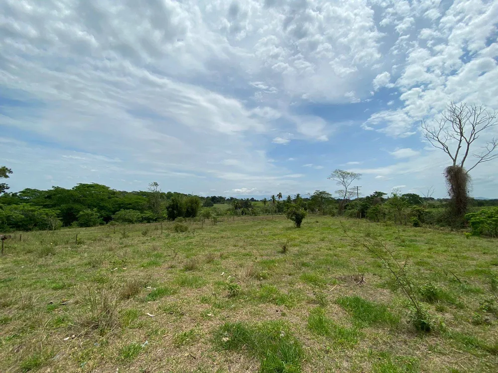 Terreno - Foto 24