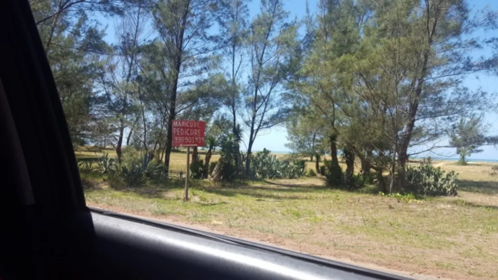 Terreno - Foto 6