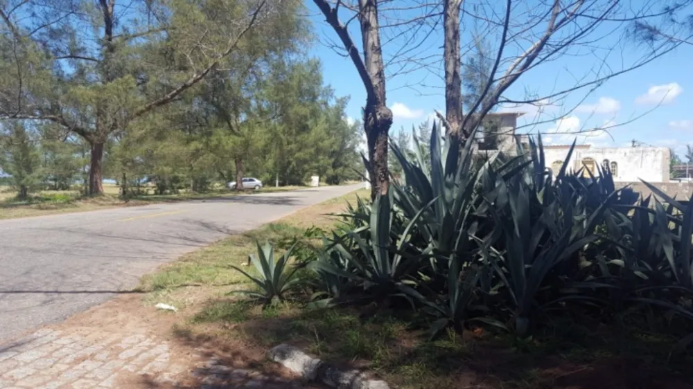 Terreno - Foto 10