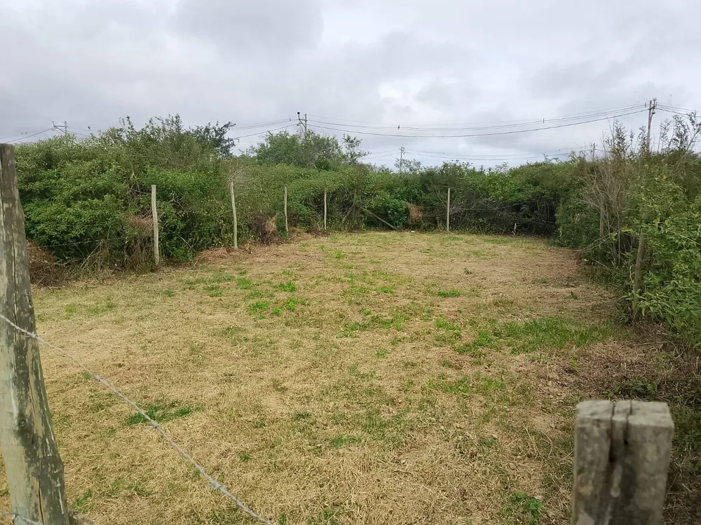 Terreno - Foto 3