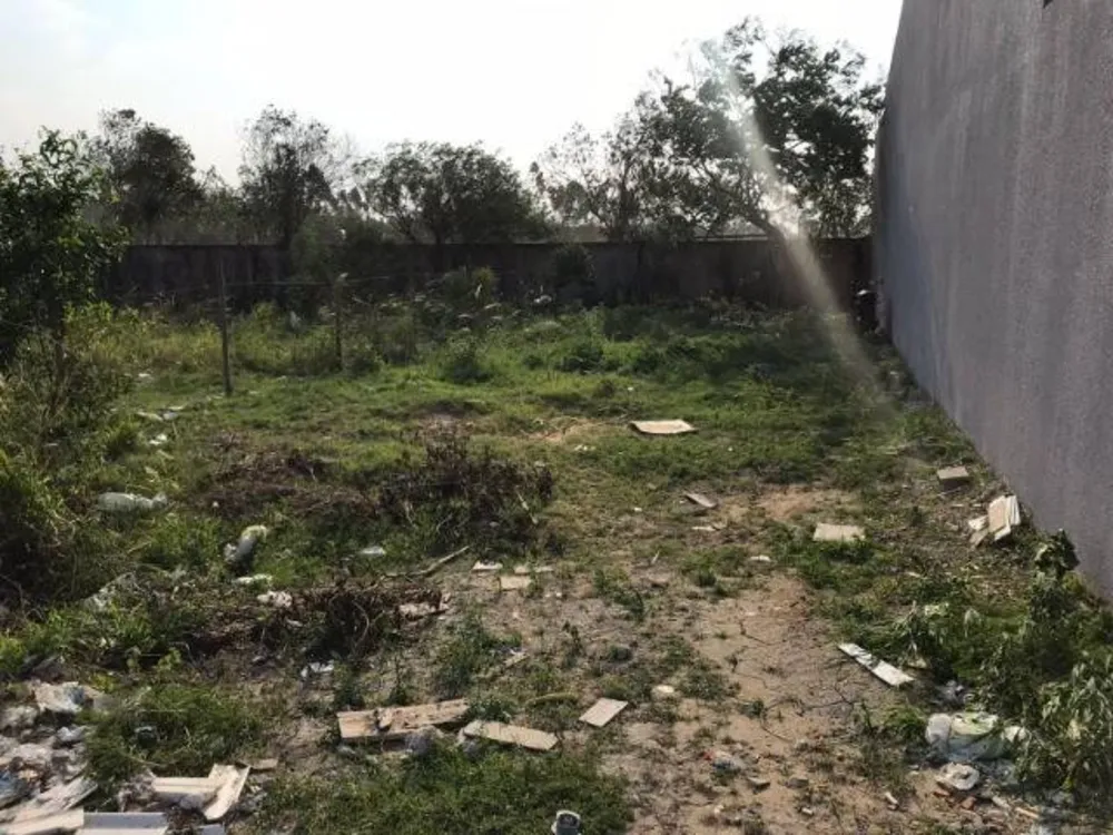 Terreno - Foto 2