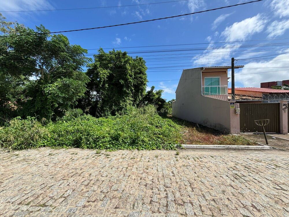 Terreno à venda - Foto 2