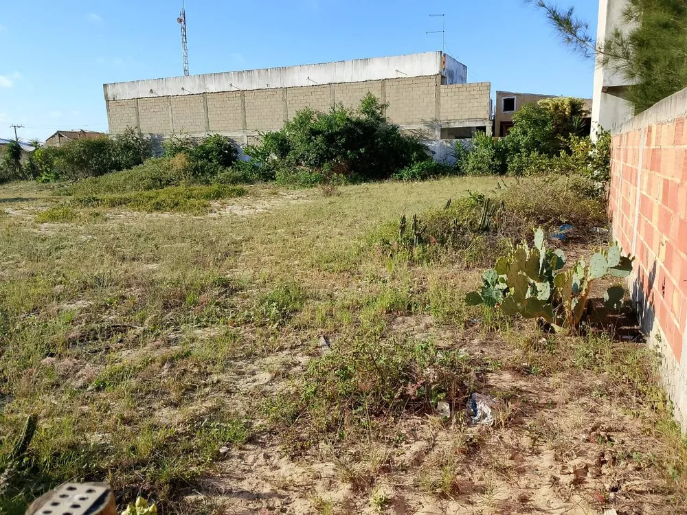 Terreno - Foto 4
