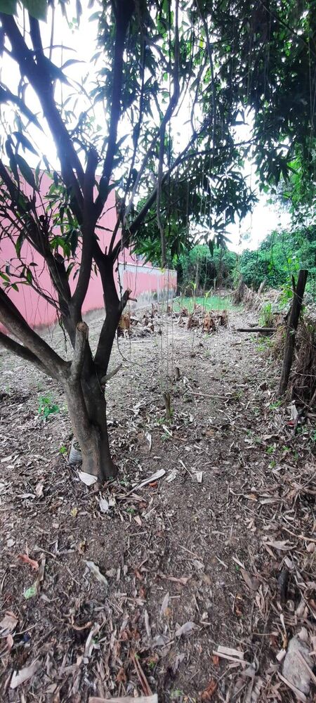 Terreno - Foto 3