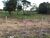 Terreno - Foto 1
