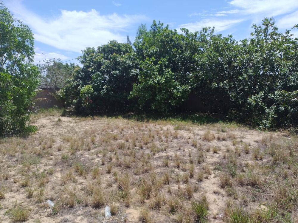 Terreno - Foto 1