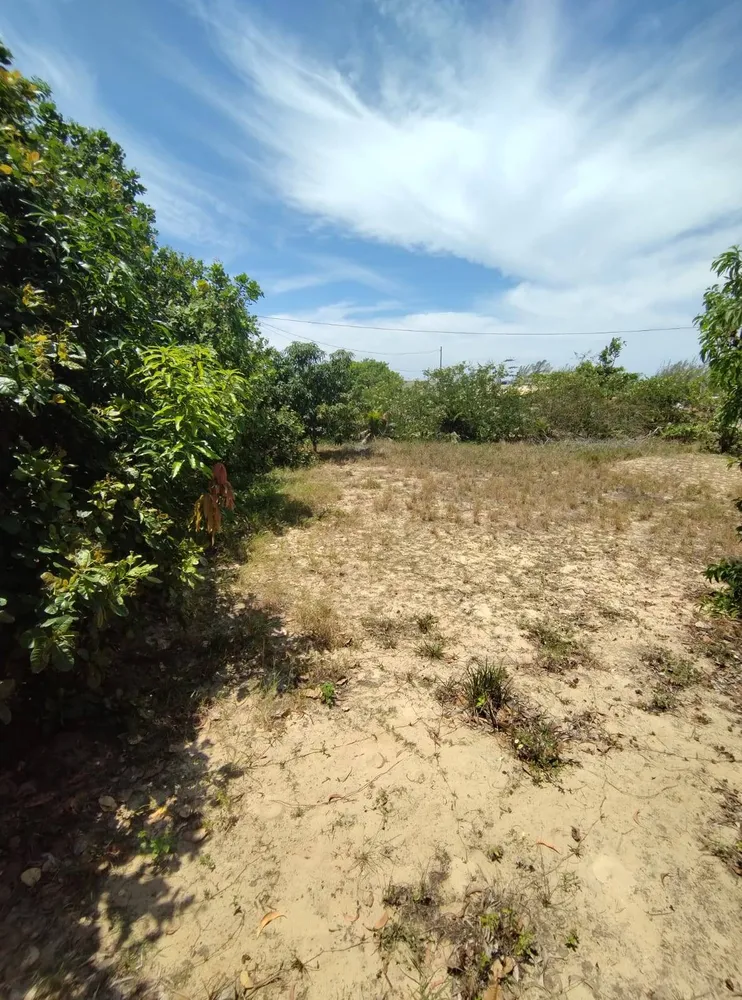Terreno - Foto 5