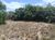 Terreno - Foto 3