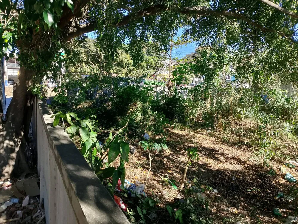 Terreno - Foto 5